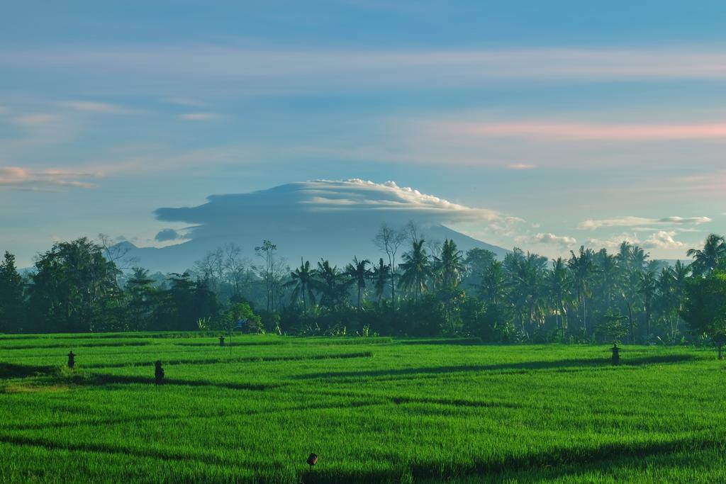 Putra Guest House Ubud Extérieur photo